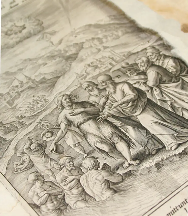 Conservacion_pagina_productos02